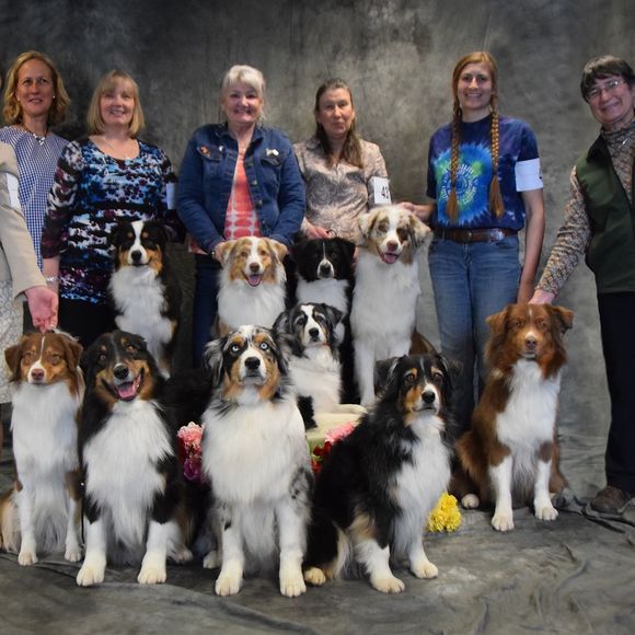 Meet your Posher, Helen - Picture 1 of 1